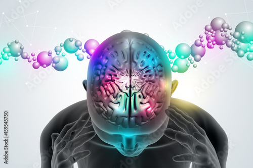 Man head showing the human brain