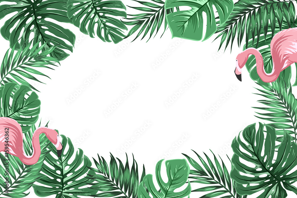 Fototapeta Szablon ramki tropikalnych egzotycznych granicy z liśćmi monstera jasny zielony dżungli i różowe ptaki para flamingo. Pozioma orientacja pozioma. Umieść tekst na środku.