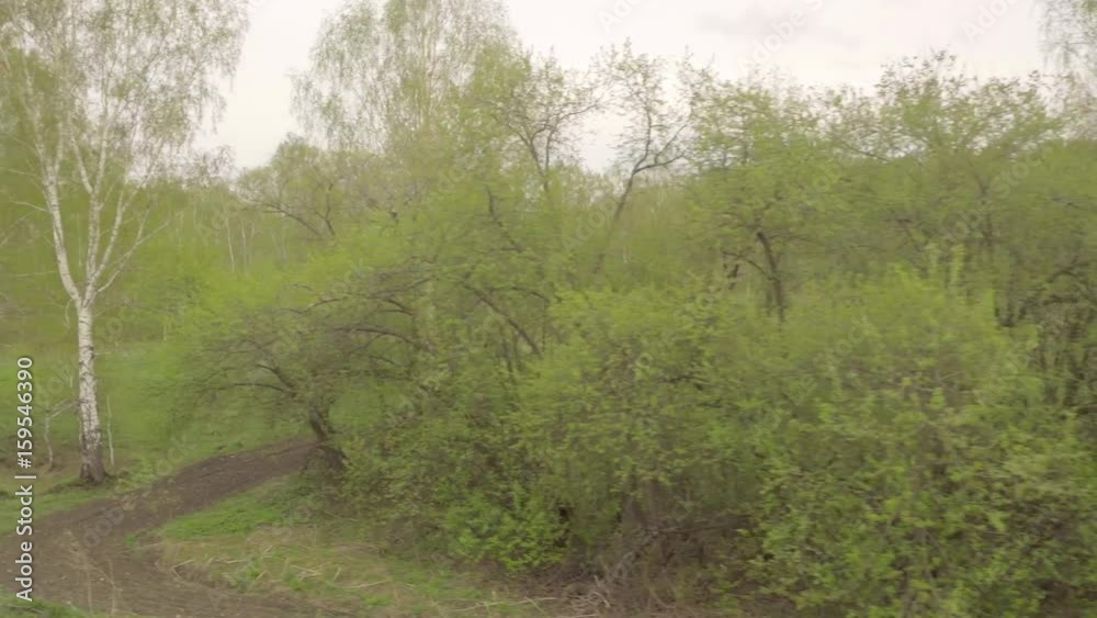 Siberian spring landscape Siberian spring landscape