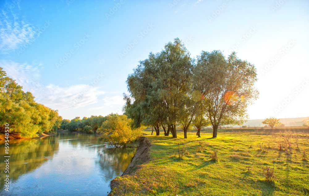 river landscape near the trees