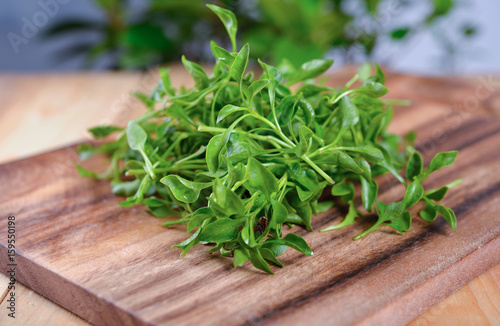 fresh watercress on wooden cutting board