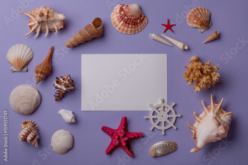 Summer marine composition: From above shot of paper card or coupon mockup composed with seashells and sea stars on purple table. Top view. Flat lay.