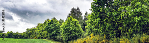 Cloudy panorama landscape with green trees