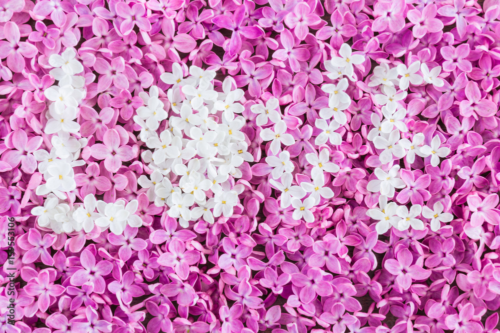 Word love created from lilac flowers. Pink and white flowers. Word love created from lilac flowers. Pink and white flowers.