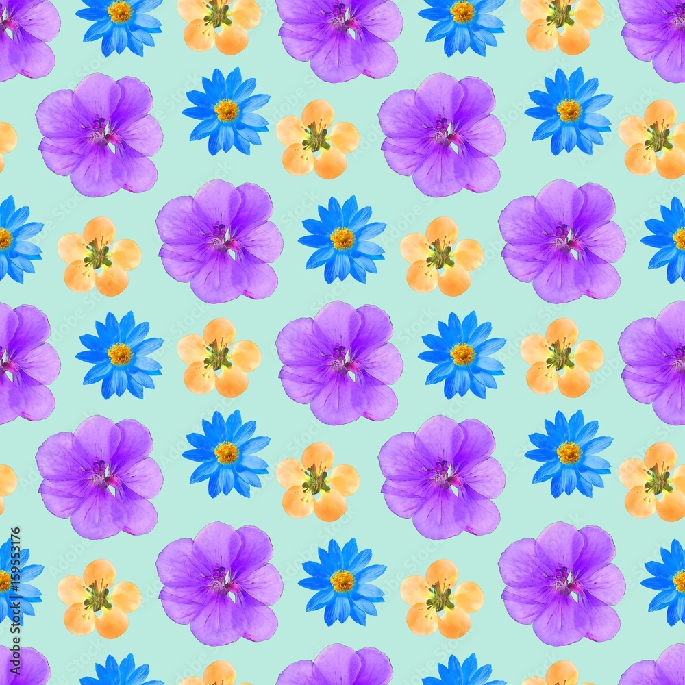 Geranium, pelargonium, adonis, quince. Seamless pattern texture of flowers. Floral background, photo collage