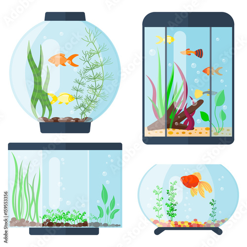 Transparent aquarium vector illustration habitat water tank house underwater fish tank bowl.