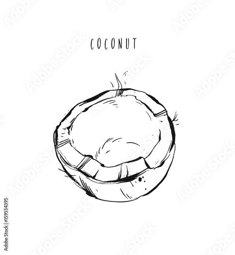 Hand drawn vector abstract exotic tropical fruit coconut illustration isolated on white background.Healthy lifestyle concept.