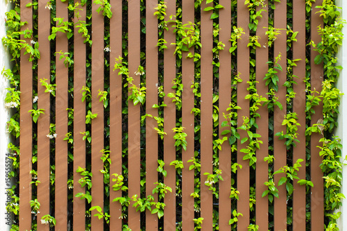 Brown fence and leaf plant over the fence background