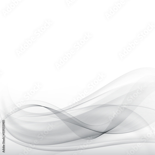 Grey waves and lines Abstract vector background gray vector eps10