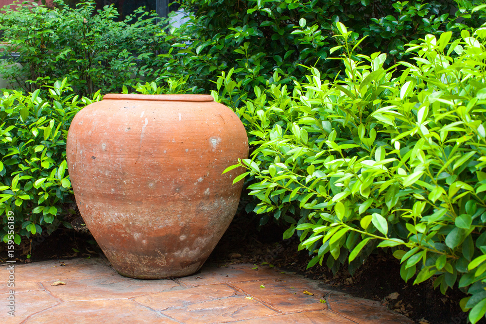 Clayed Jar is surrounded by green bush Clayed Jar is surrounded by green bush