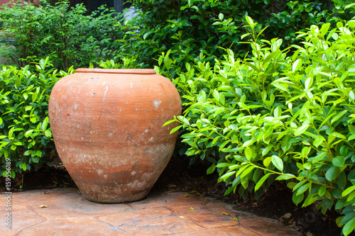 Clayed Jar is surrounded by green bush