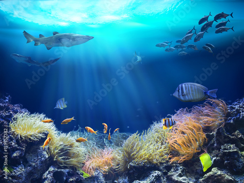 Fototapeta Naklejka Na Ścianę i Meble -  Marine life in reef. 3D illustration