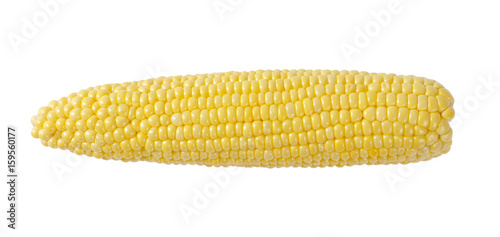 ripe corn cob photo