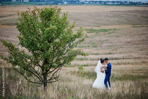 Beautiful wedding couple standing in the middle of the meadow next to the tree and look at each other s eyes.