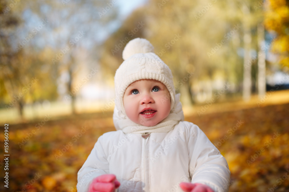 happy little girl in autumn park happy little girl in autumn park