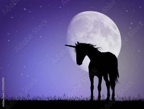 Unicorn silhouette in the moonlight © adrenalinapura