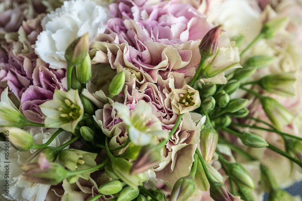 Pink and white carnation bouquet with green allium close up Pink and white carnation bouquet with green allium close up