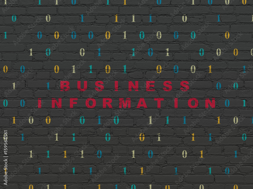 Finance concept: Business Information on wall background