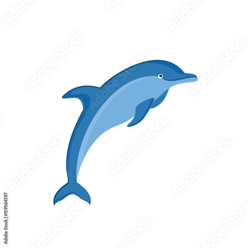 Dolphin vector icon