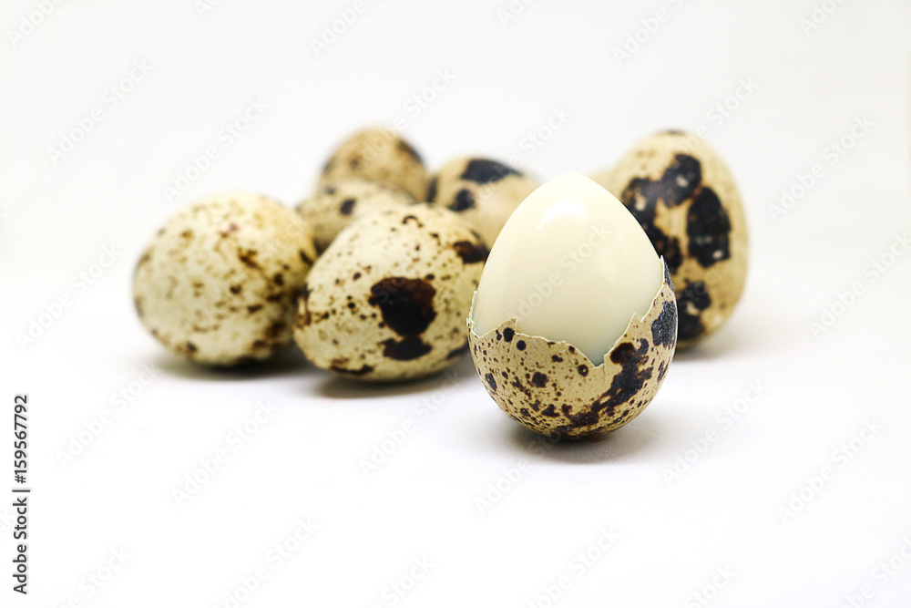 Quail eggs islated on white background.