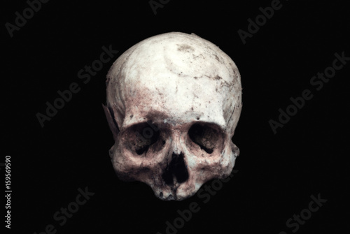 Real human skull on an isolated black background