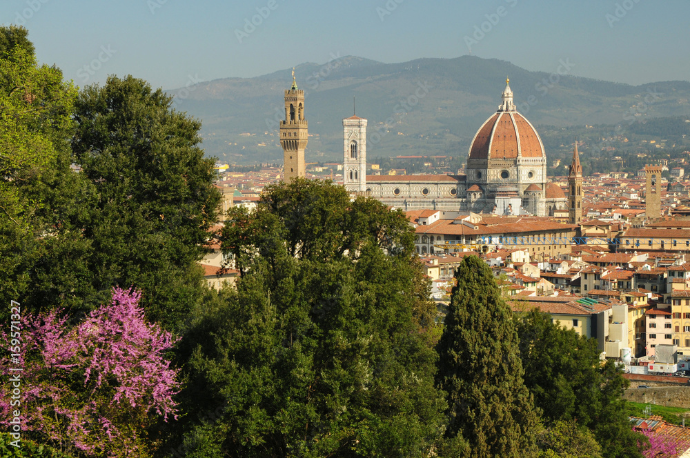 Beautiful view of Florence from Bardini Garden during Spring Season with Cathedral of Santa Maria del Fiore on background. Italy