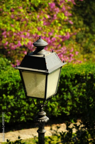 Old Lamp in Bardini Garden, Florence (spring season) Italy.