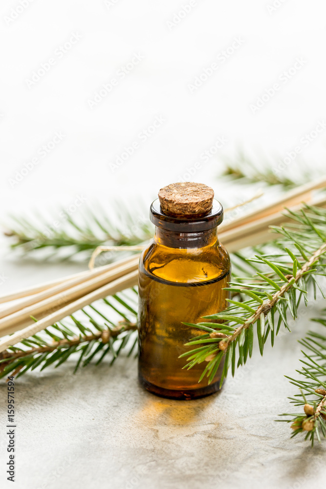 fir branches and spruce aroma oil on white table background fir branches and spruce aroma oil on white table background
