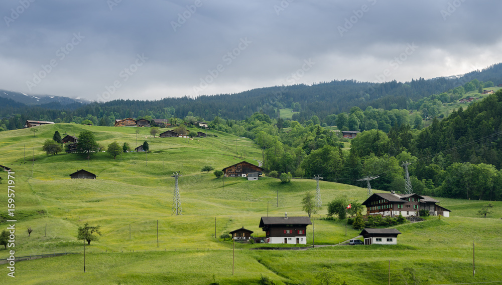 Pastoral view on typical swiss houses on green hill at Grindelwald village. Interlaken-Oberhasli district. Switzerland