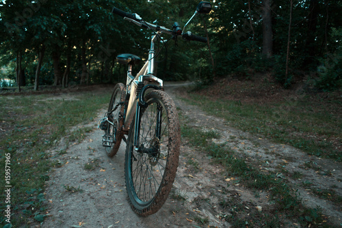 Mountain bike on the forest path.