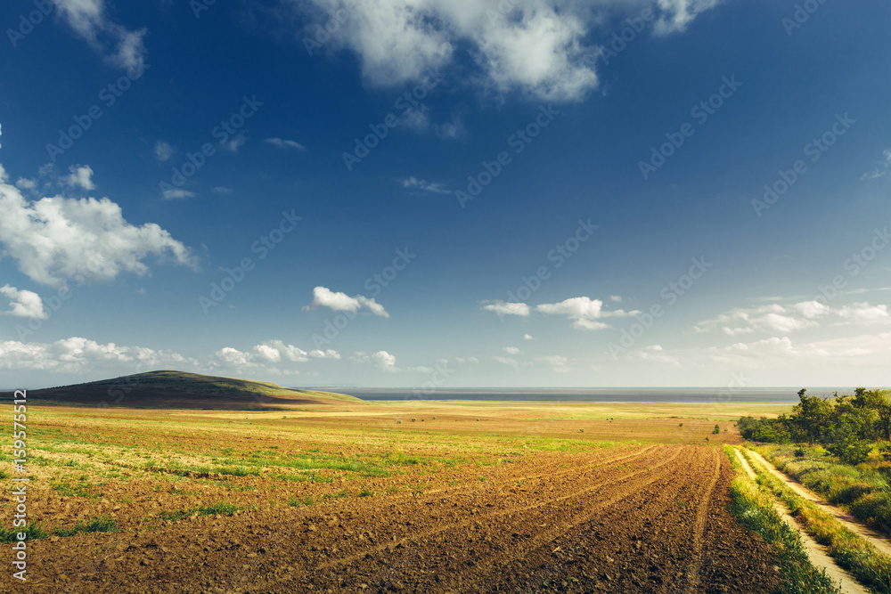 Obraz premium Field Hill Colorful Background