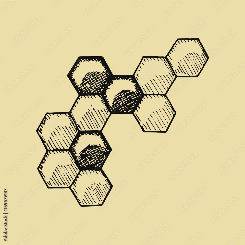 Bees honeycomb sketch. vector illustration Stock Vector | Adobe Stock