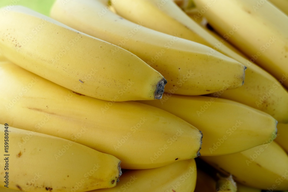 detail of fresh yellow bananas