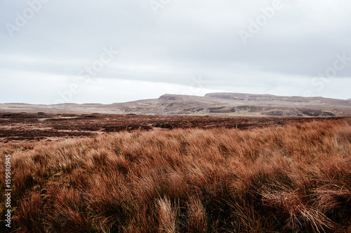 scottish meadow, isle of skye, scotland,