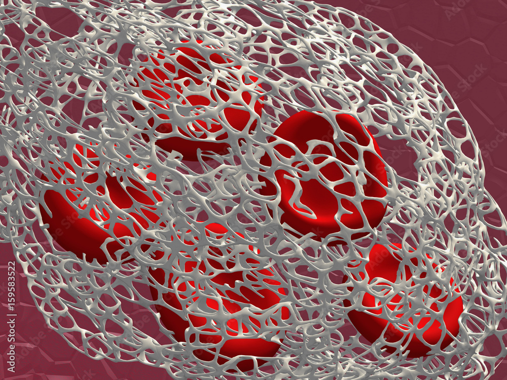Human red blood cells within a fibrin meshwork Stock Photo | Adobe Stock