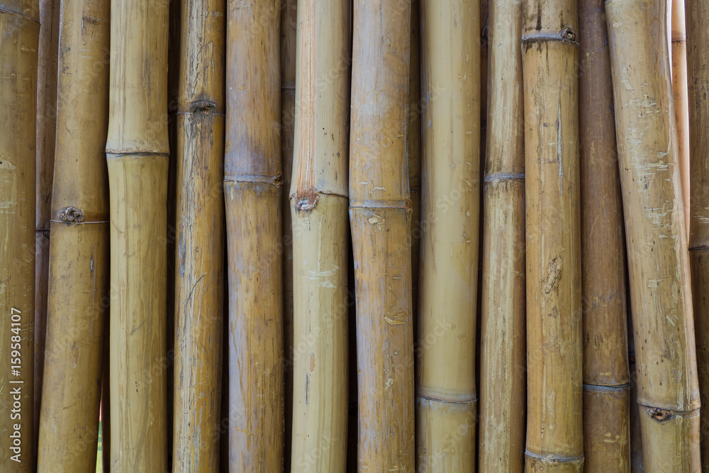 wood background texture wood background texture