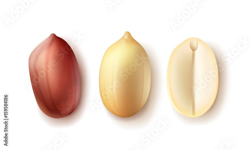 Set of opened peanuts