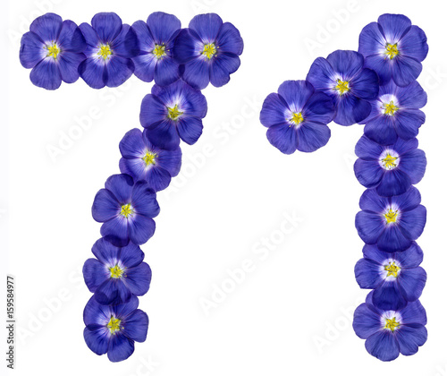 Arabic numeral 71, seventy one, from blue flowers of flax, isolated on white background