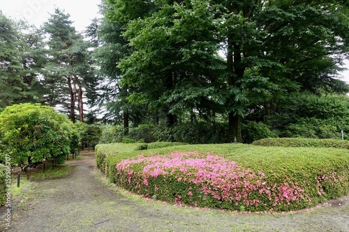 ６月の植物公園