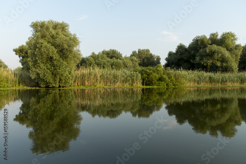 Landscape with waterline, birds, reeds and vegetation, water reflexions, in Danube Delta, Romania