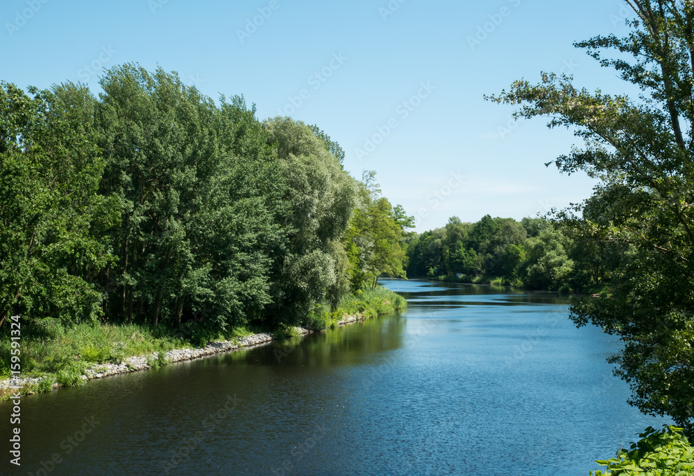 Fototapeta premium River with Trees on the Bank