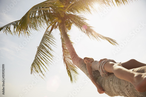 Girl leaning back on palm tree, Rawa Island Malaysia photo