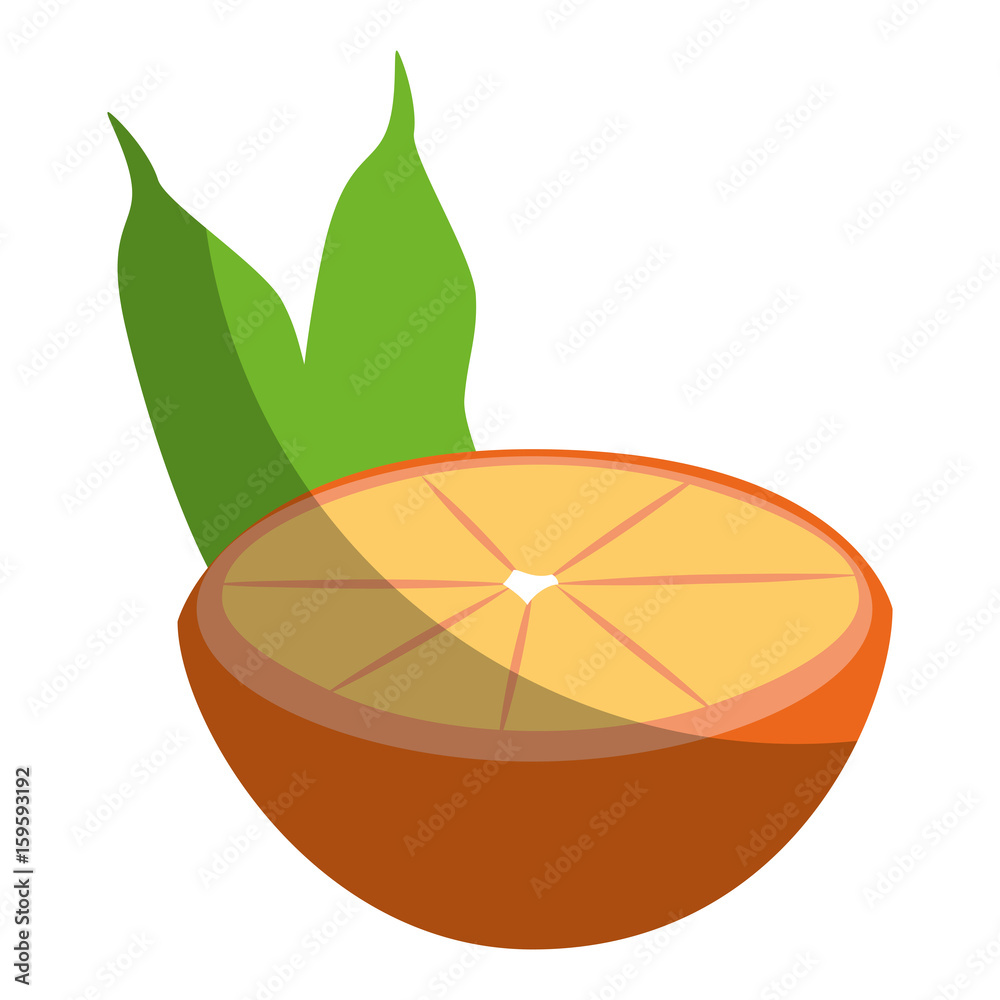 Orange citric fruit icon vector illustration graphic design Orange citric fruit icon vector illustration graphic design