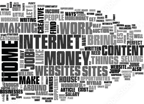 WORK AT HOME FOR FUN AND PROFIT TEXT WORD CLOUD CONCEPT