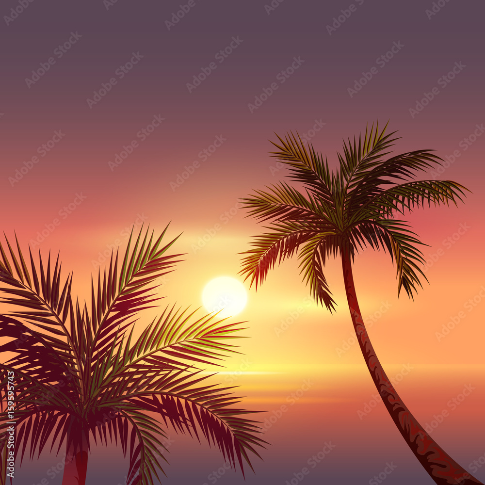 Sunset on tropical island. Black silhouette of palm tree in red sky
