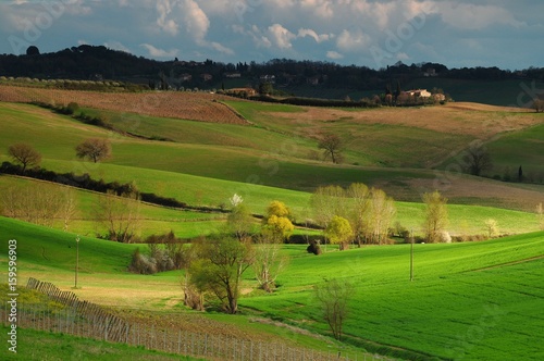 Beautiful Tuscan landscape near Castellina in Chianti  Siena. Italy.