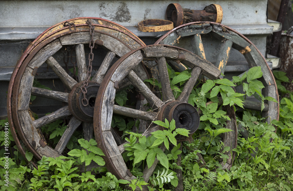 Old wooden cart wheels on green grass