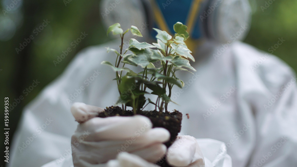 Φωτογραφία Close-up of green spout in hands of person wearing protective suit