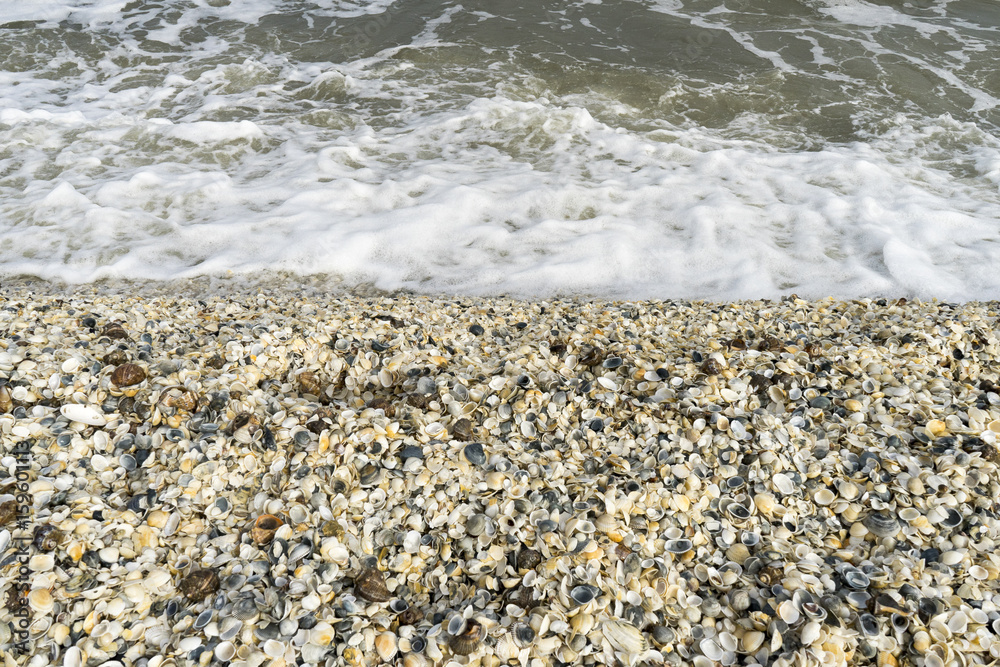 Landscape with sea view, waves and sea shells, clouds, photographed in Gura Portitei, Romania, in cloudy spring day Landscape with sea view, waves and sea shells, clouds, photographed in Gura Portitei, Romania, in cloudy spring day