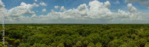 Panorama of Myakka State Park in Florida from lookout tower photo